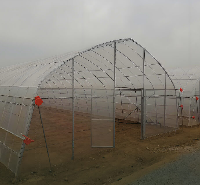 Tunnel Greenhouse